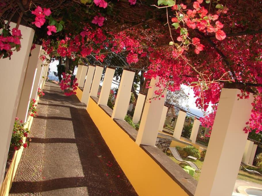 Appartement Private Pool Apt. With Great View Funchal (Madeira)