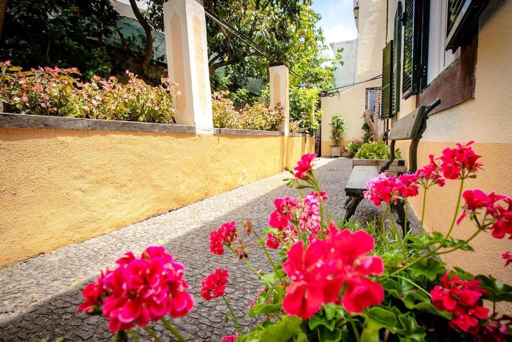 Private Pool Apt. With Great View Appartement Funchal (Madeira)
